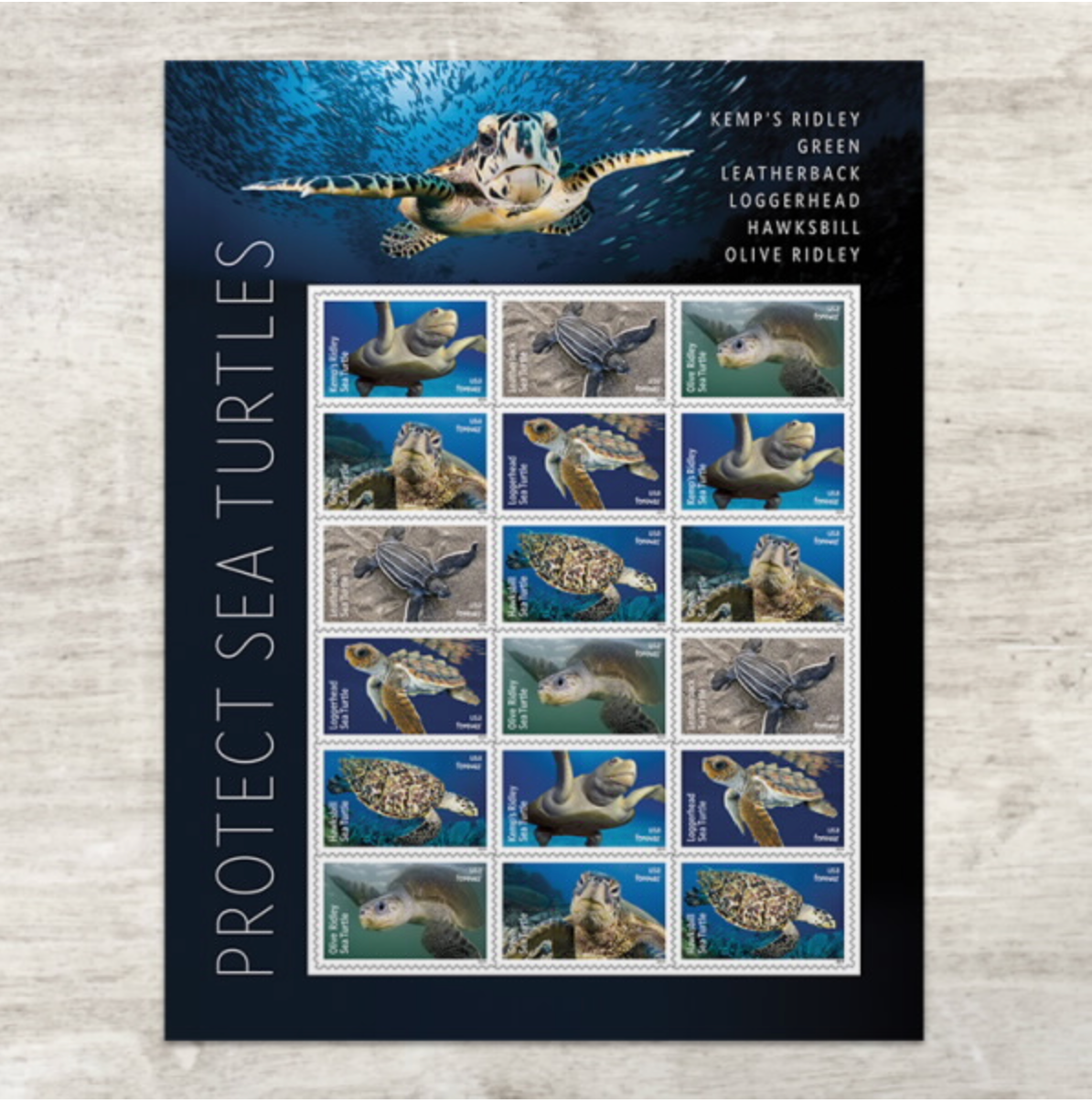 Celebrating Sea Turtles: A Look at the US Postal Service's Commemorative Stamp