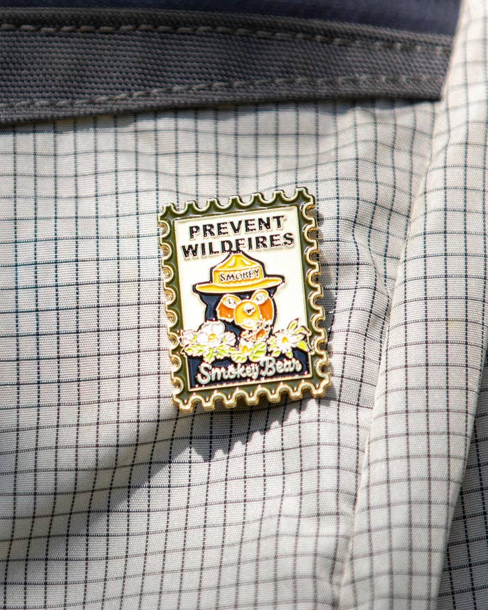 Smokey Bear Postage Stamp Pin pin The Landmark Project