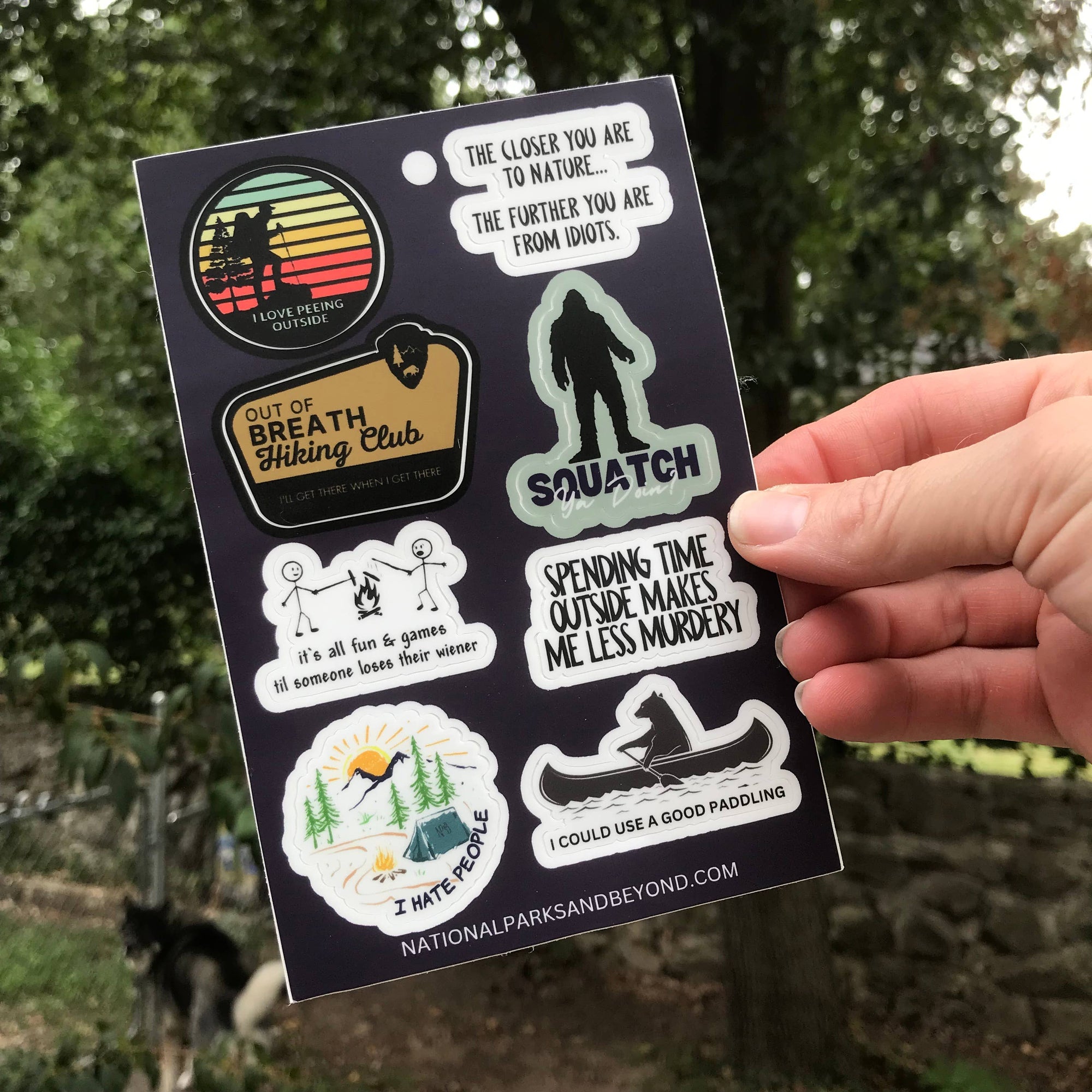 Sticker Sheet sticker National Parks and Beyond   