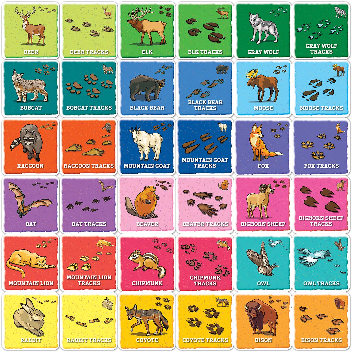 Jr Ranger - Animal Tracks Matching Game games Masterpieces Puzzles   