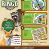 Jr. Ranger Bingo Game packaging with raccoon and fox illustrations, game instructions, and spinner.