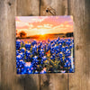 Bluebonnet Coaster Coaster Orange Grove Trading Post Square