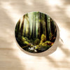 Redwood Forest Coaster Coaster Orange Grove Trading Post