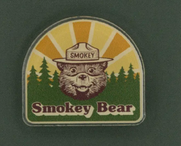 Smokey Bear Acrylic Pin pin Wildtree